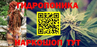крисы Донской