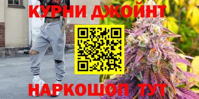 крисы Дубна