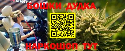 крисы Донской