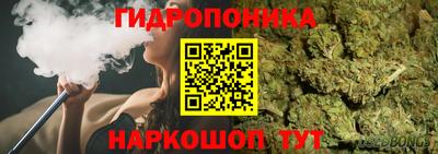 крисы Донской