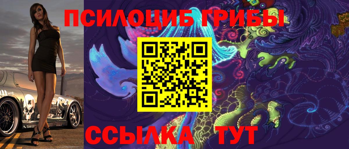 Галлюциногенные грибы ЛСД  Вход с VPN  Галлюциногенные грибы Psilocybe  Карабулак 